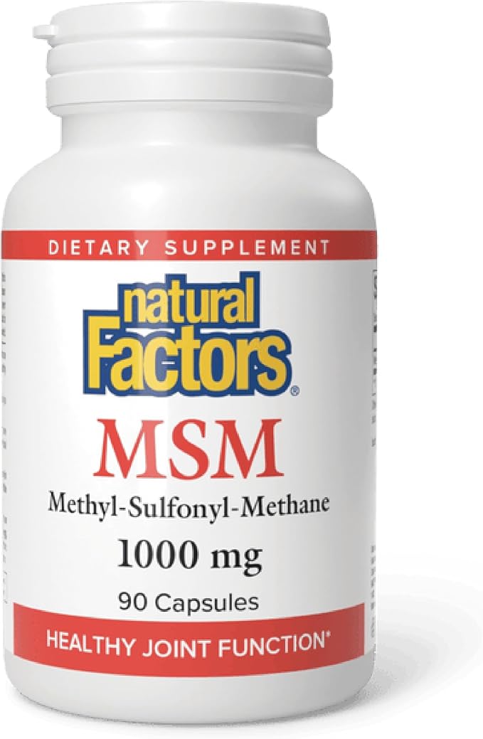 MSM 1000mg Capsules by Natural Factors