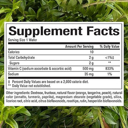 Vitamin C 500mg Orange Chewable Tablets by Natural Factors