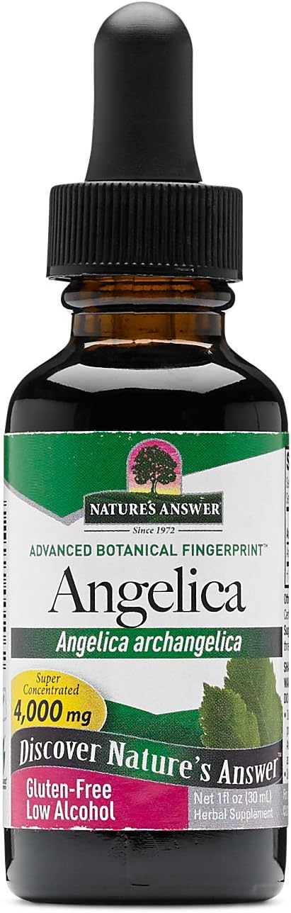 Angelica Root Liquid Extract by Nature's Answer