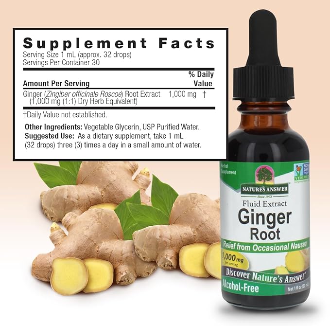 Ginger Root Alcohol Free Extract by Nature's Answer