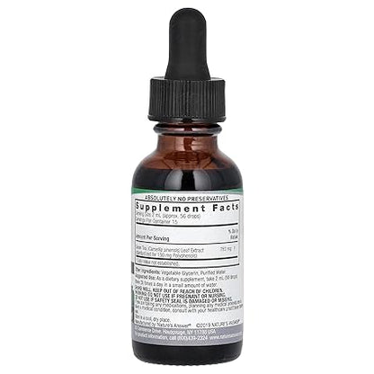 Green Tea Alcohol Free Extract by Nature's Answer
