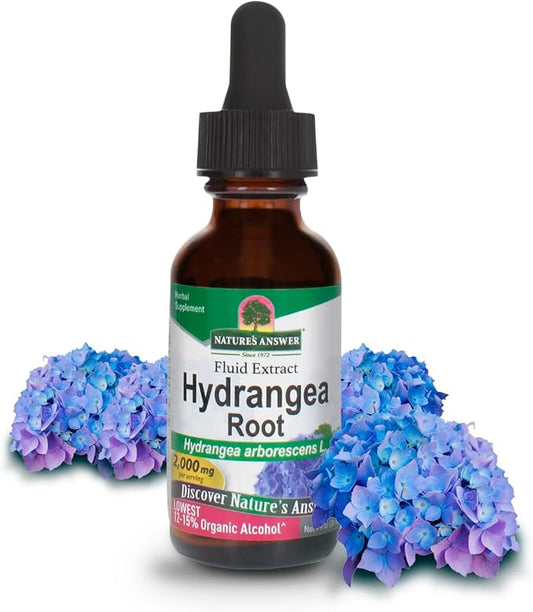 Hydrangea Root Extract by Nature's Answer