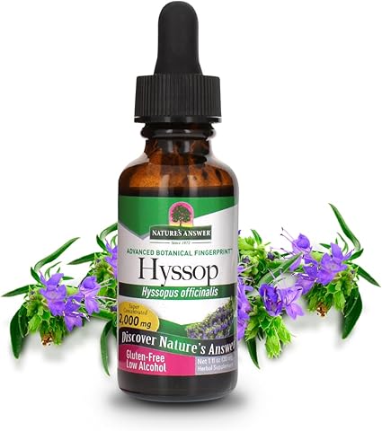 Hyssop Extract by Nature's Answer