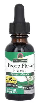 Hyssop Alcohol Free Extract by Nature's Answer
