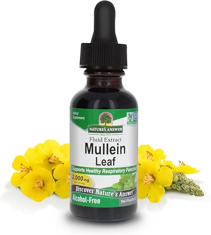 Mullein Alcohol Free Extract by Nature's Answer