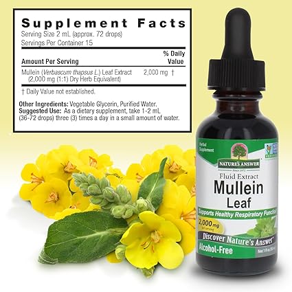 Mullein Alcohol Free Extract by Nature's Answer