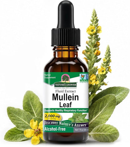 Mullein Alcohol Free Extract by Nature's Answer