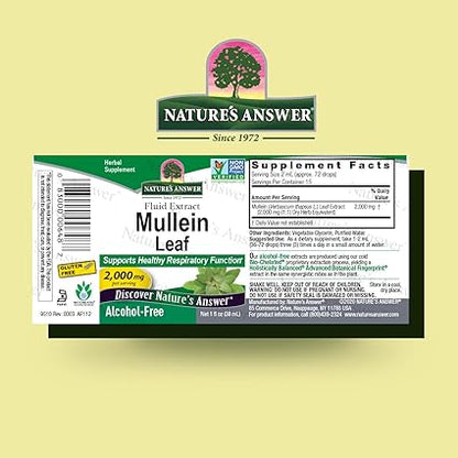 Mullein Alcohol Free Extract by Nature's Answer