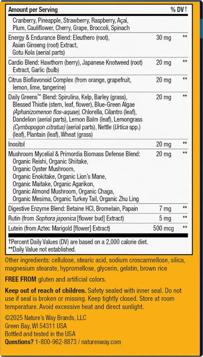 Alive One Daily Ultra Men's Multivitamin Tablets by Nature's Way