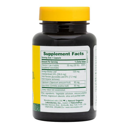 Ginkgo-Combo by NaturesPlus