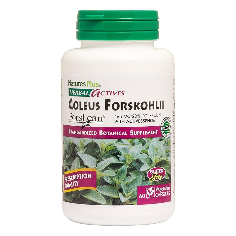 Coleus Forskohlii 125mg 60VegCaps by NaturesPlus
