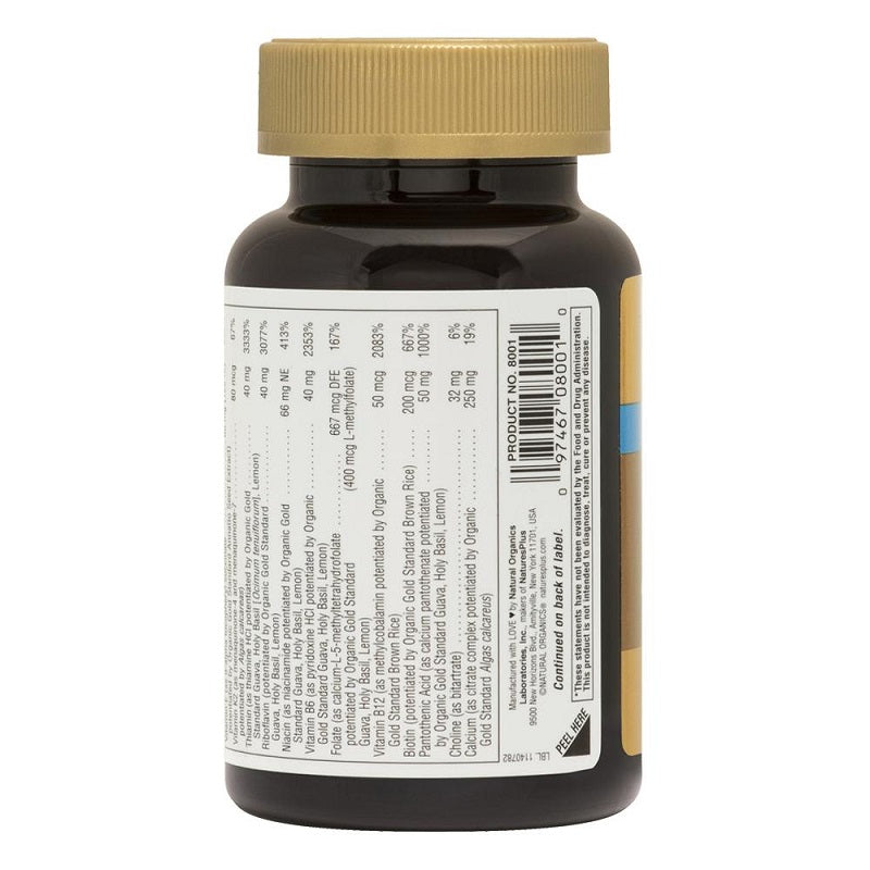 Ageloss Men's Multi by NaturesPlus