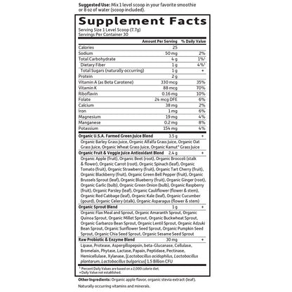 Raw Perfect Food Green Superfood Powder Apple by Garden of Life