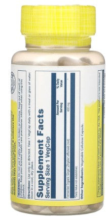 Ginger Fermented Organic 400mg 100VegCaps by Solaray