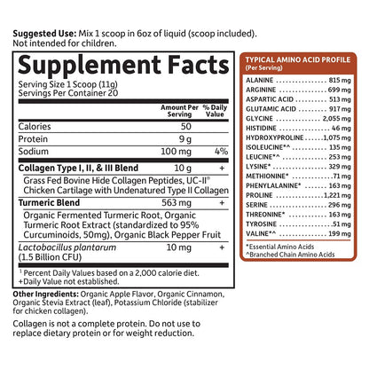 Collagen Turmeric Apple Cinnamon by Garden of Life