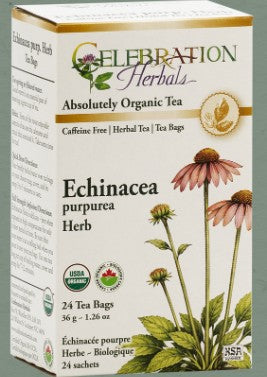 Echinacea Purpurea Tea Bags by Celebration Herbals