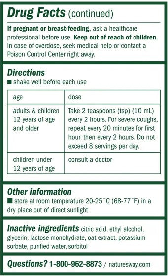 Cough & Bronchial Syrup Daytime by Boericke & Tafel