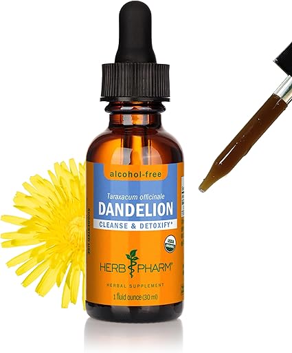 Alcohol Free Dandelion Extract by Herb Pharm
