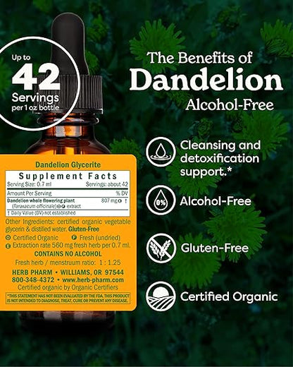 Alcohol Free Dandelion Extract by Herb Pharm