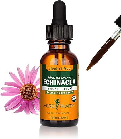Alcohol Free Echinacea Extract by Herb Pharm