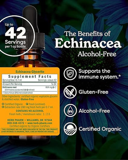 Alcohol Free Echinacea Extract by Herb Pharm