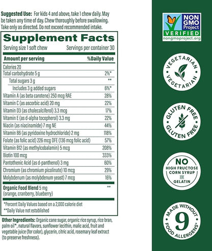 Kids One Daily Multivitamin Grape Soft Chews by MegaFood
