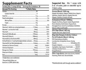 Lean Green Superfood Mango Powder by Doctor's Blend