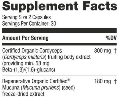 Cordyceps Mushroom Capsules by Kokora