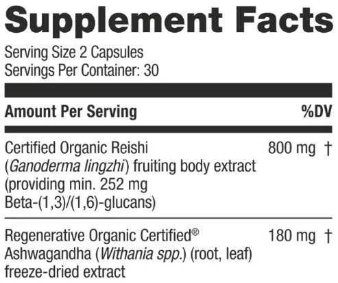 Reishi Mushroom Capsules by Kokora