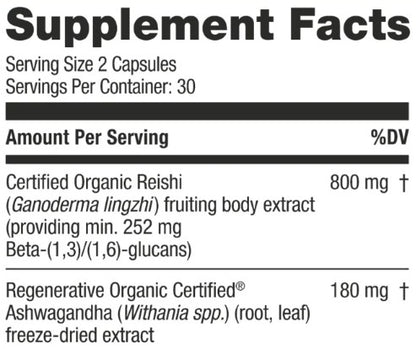 Reishi Mushroom Capsules by Kokora