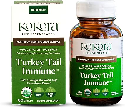 Turkey Tail Mushroom Capsules by Kokora