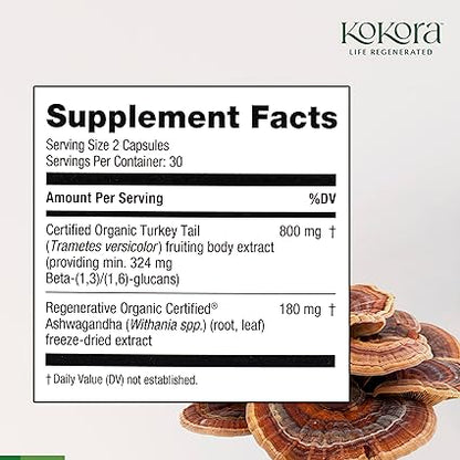 Turkey Tail Mushroom Capsules by Kokora