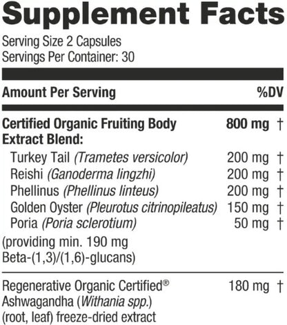 5 Mushroom Wellness Blend Capsules by Kokora