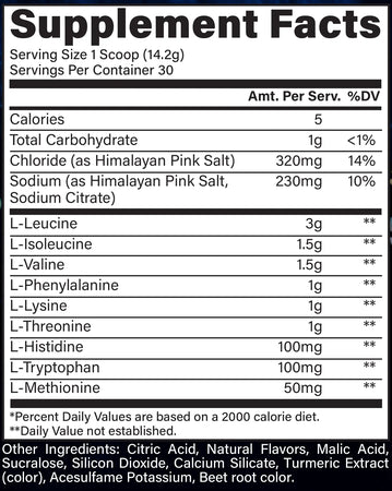 Raw EAA Plus Icy Lemon Slush by Raw Nutrition