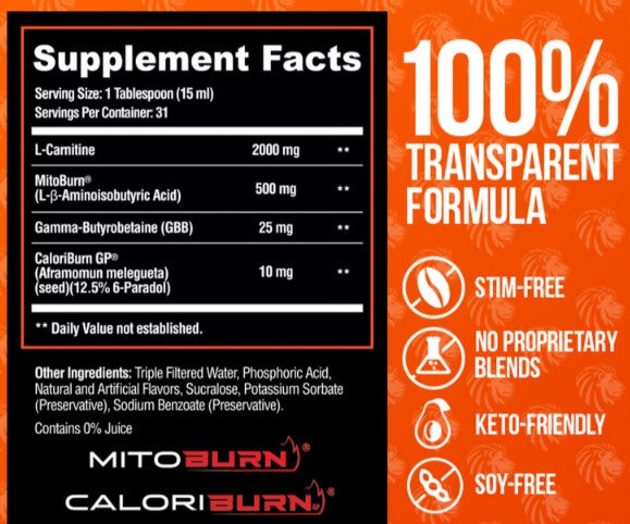 Burn20 Fiery Punch by Alpha Lion