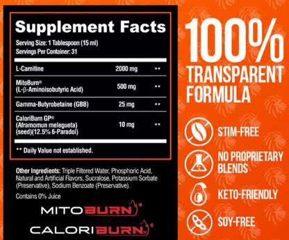 Burn20 Fiery Punch by Alpha Lion