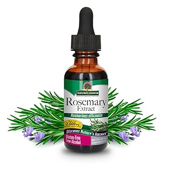 Rosemary Extract Low Alcohol Tincture by Nature's Answer