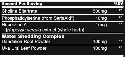 Animal Cuts Strawberry Watermelon by Universal