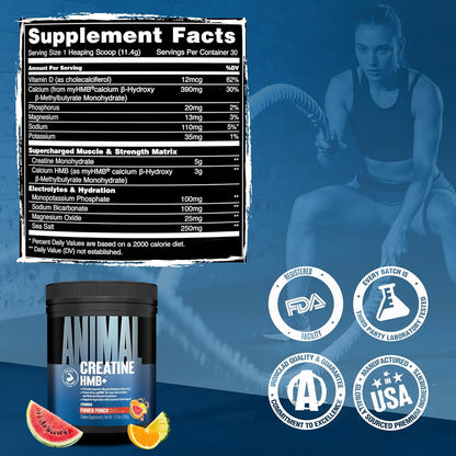 Creatine HMB+ Powder Power Punch by Universal
