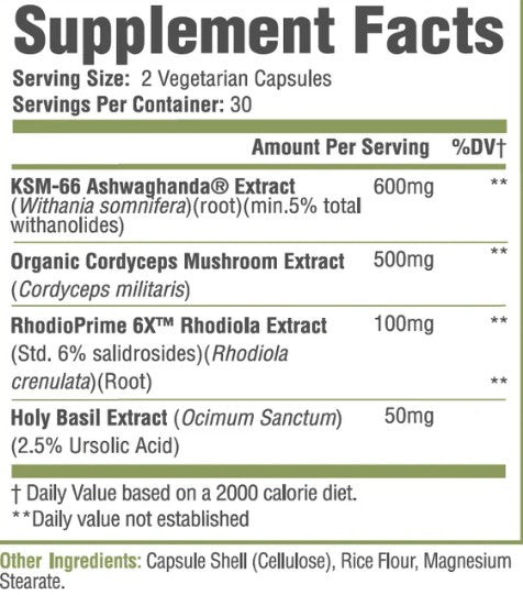 Ashwagandha+ Daily Adaptogenic Support Capsules by Muscle Sport