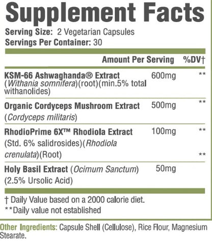 Ashwagandha+ Daily Adaptogenic Support Capsules by Muscle Sport