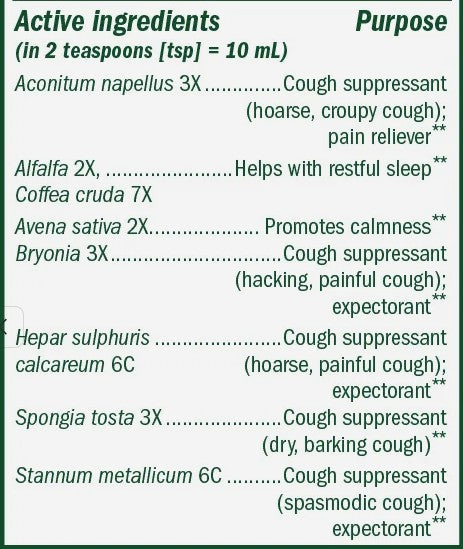 Cough & Bronchial Nighttime Syrup by Boericke & Tafel