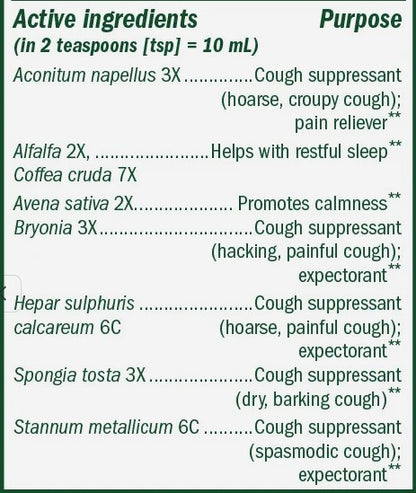 Cough & Bronchial Nighttime Syrup by Boericke & Tafel