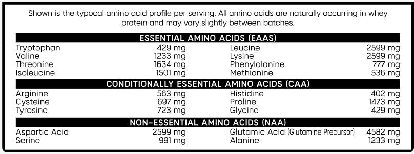 Iso-Beast Whey Protein Creamy Vanilla by Synful Supplements